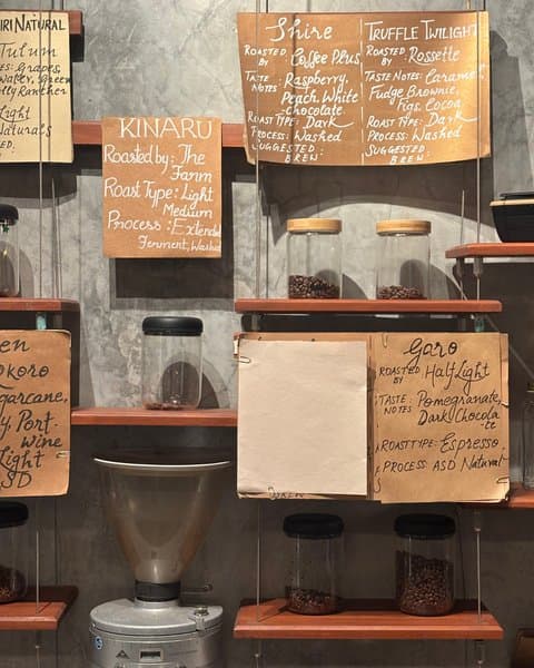 Brew Your Own Coffee (BYOC) | Vinyl & Brew | Chennai