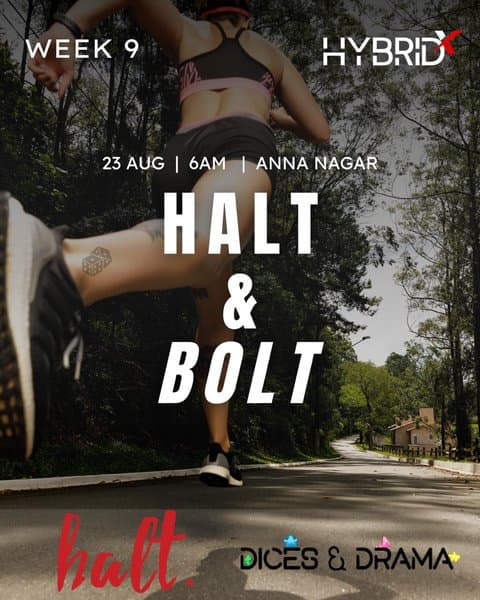 HALT  &  BOLT